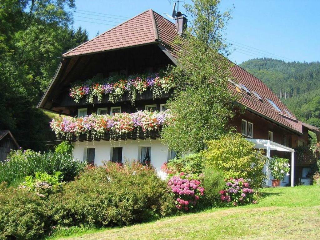 Apartamento Haus Schneider Gutach Exterior foto